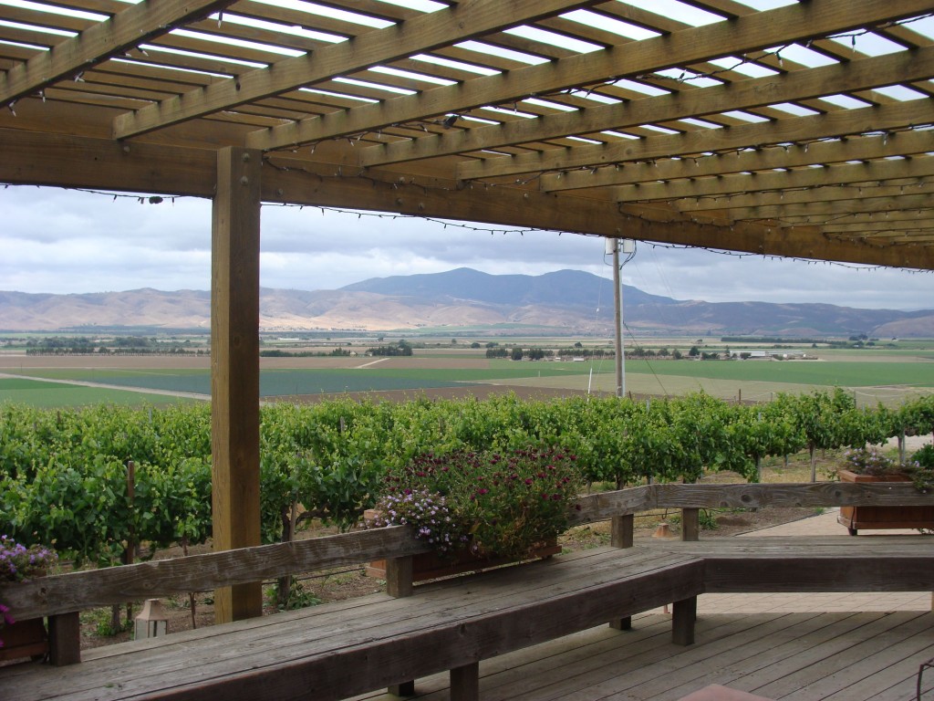 View From Paraiso Vineyards